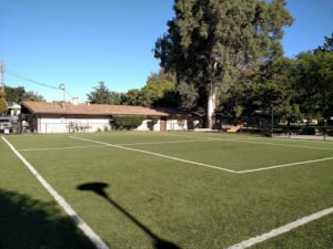 Soccer Field image 1