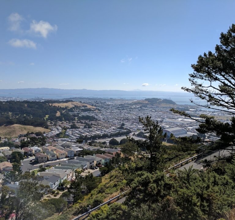 Soccer Field image 3