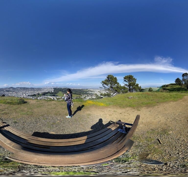 Soccer Field image 4