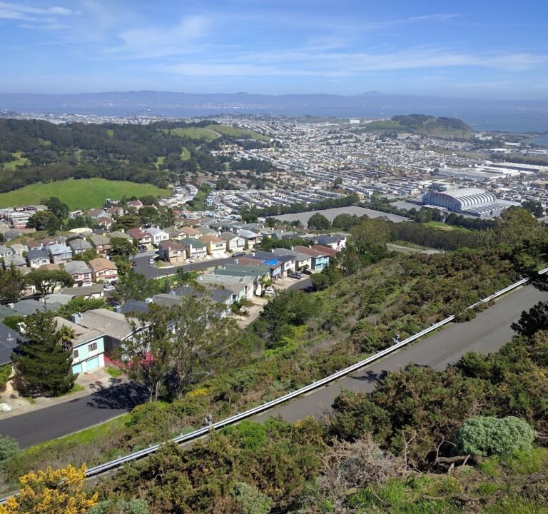 Soccer Field image 2