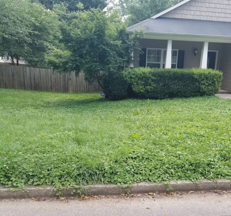 Soccer Field image 2