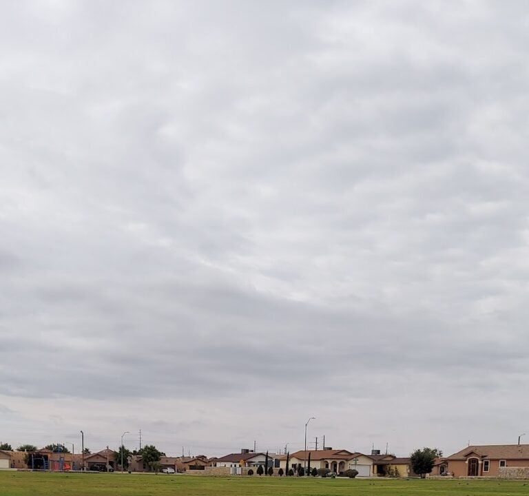 Soccer Field image 2