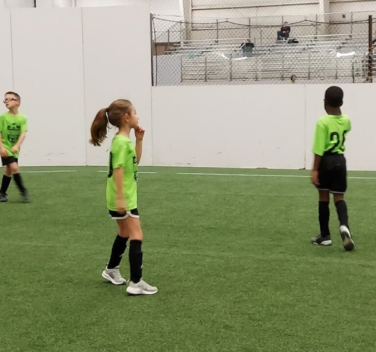 Soccer Field image 2