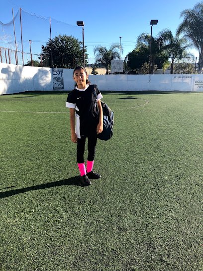 Soccer Field image 1