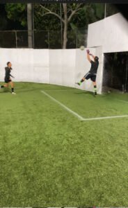 Soccer Field image 1