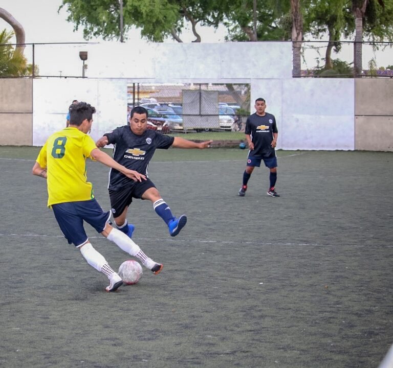 Soccer Field image 2