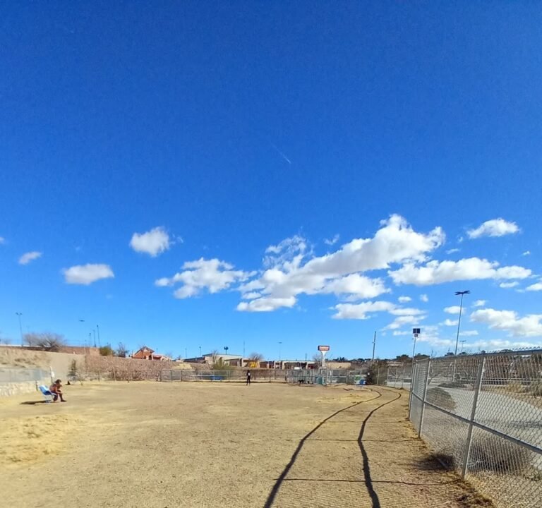 Soccer Field image 2