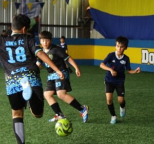 Soccer Field image 3