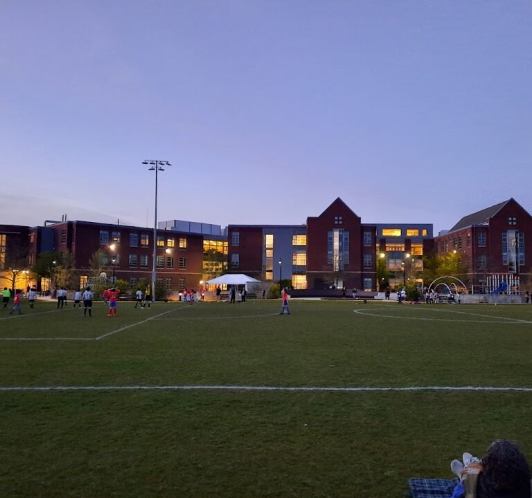 Soccer Field image 2