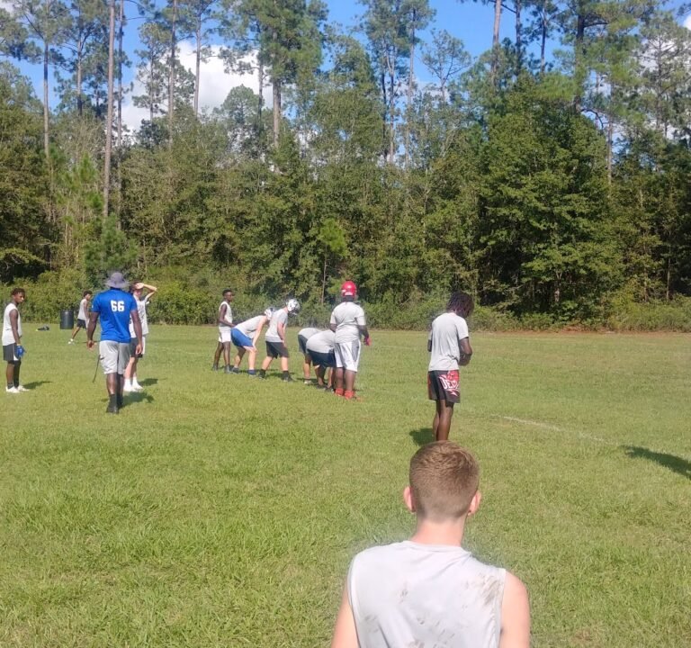 Soccer Field image 3