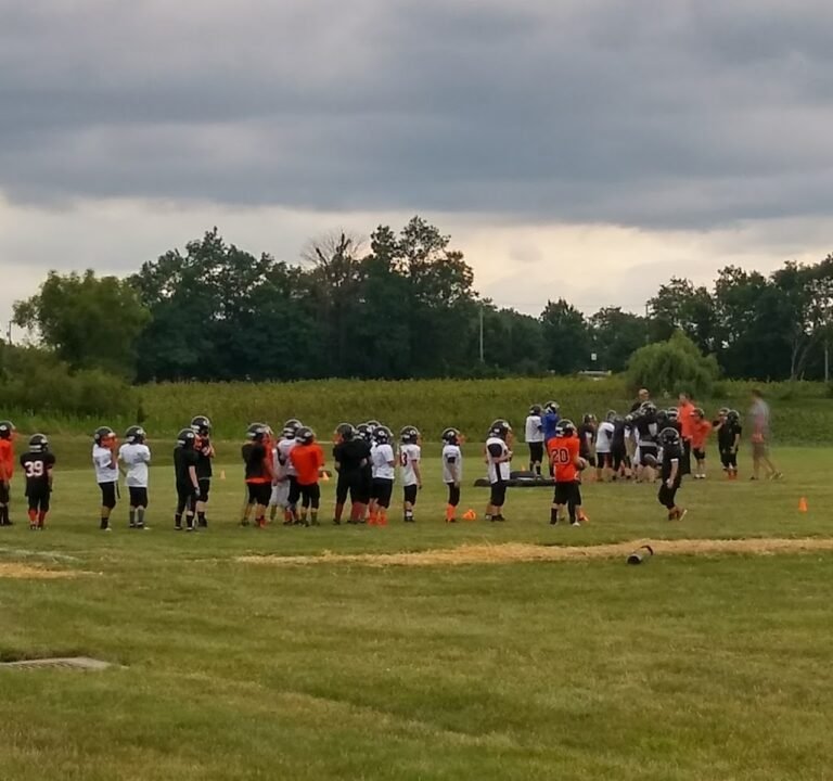 Soccer Field image 2