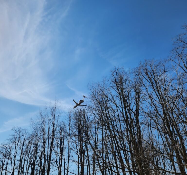 Soccer Field image 3