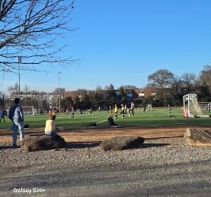Soccer Field image 3