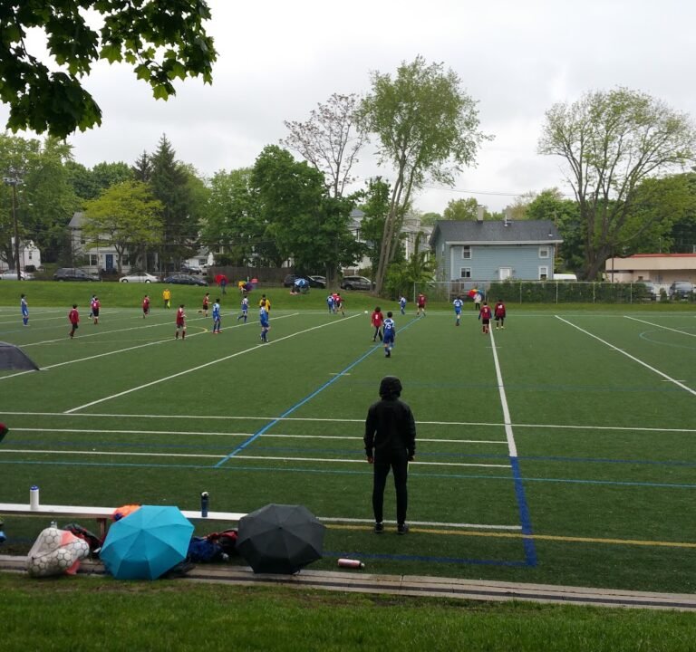 Soccer Field image 2