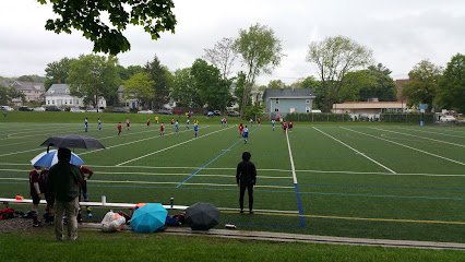 Soccer Field image 1