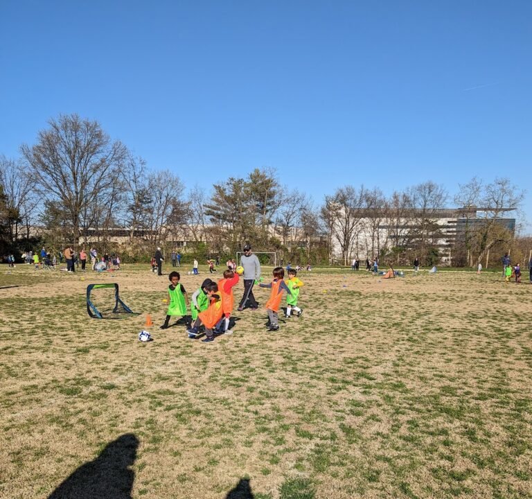 Soccer Field image 2