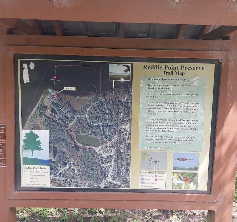 Soccer Field image 3