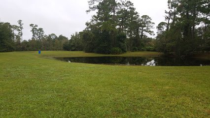 Soccer Field image 1