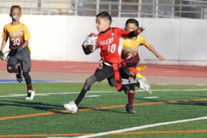 Soccer Field image 1