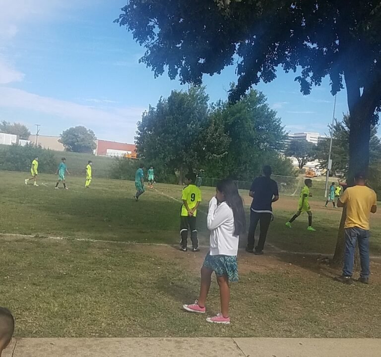 Soccer Field image 2