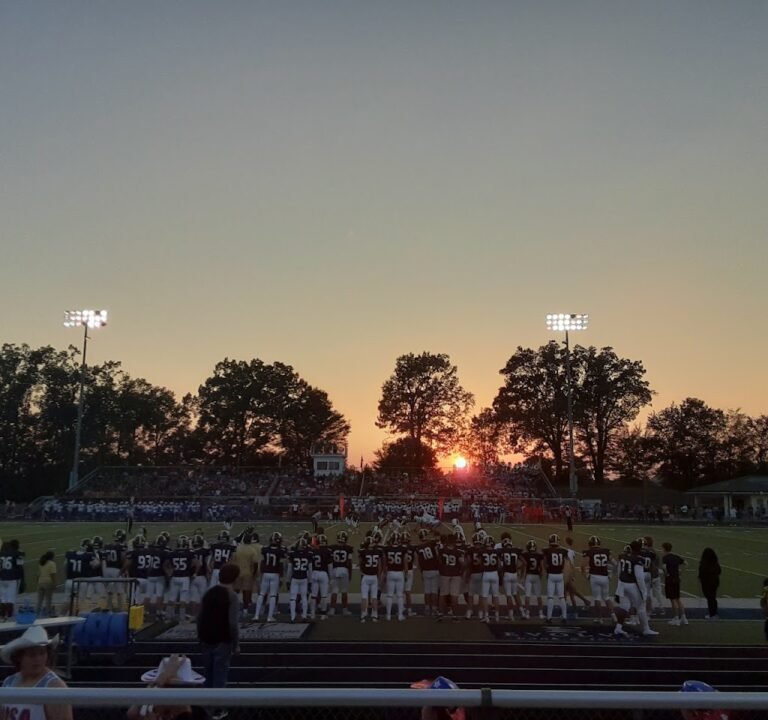 Soccer Field image 2