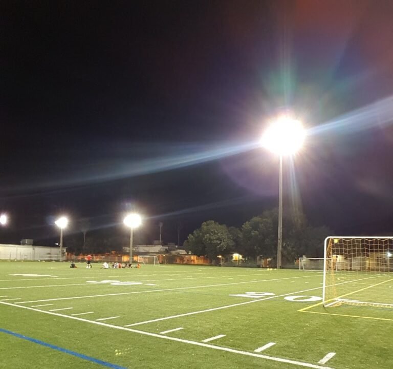 Soccer Field image 2