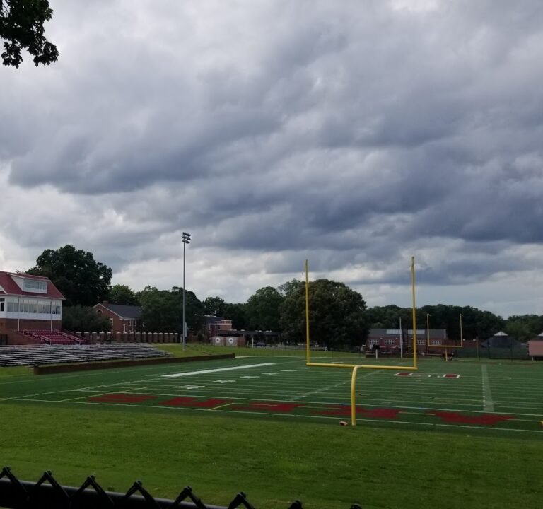Soccer Field image 2