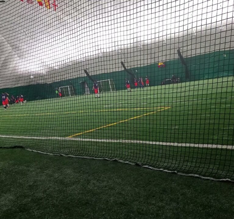 Soccer Field image 4