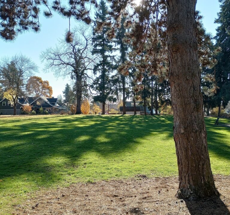 Soccer Field image 2