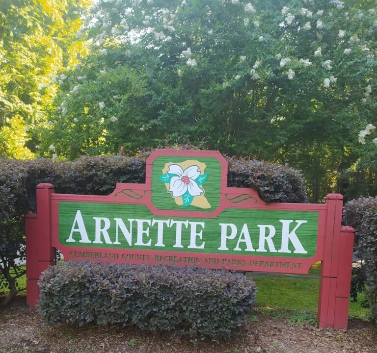 Soccer Field image 2