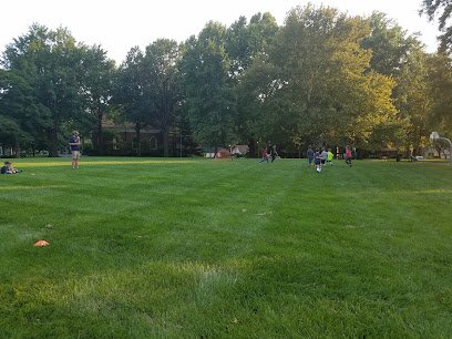 Soccer Field image 1