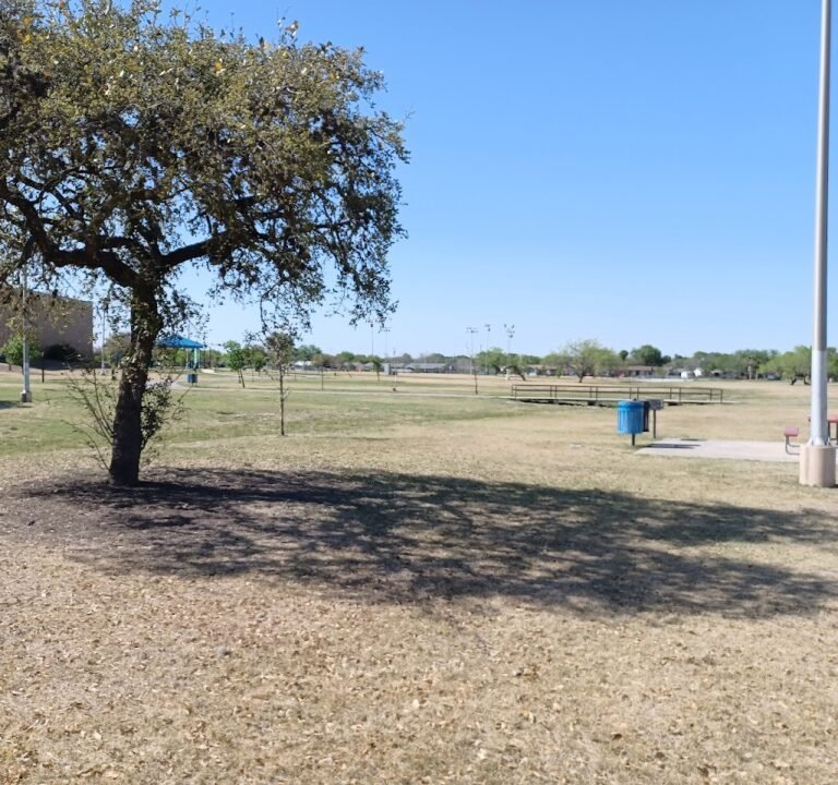 Soccer Field image 3