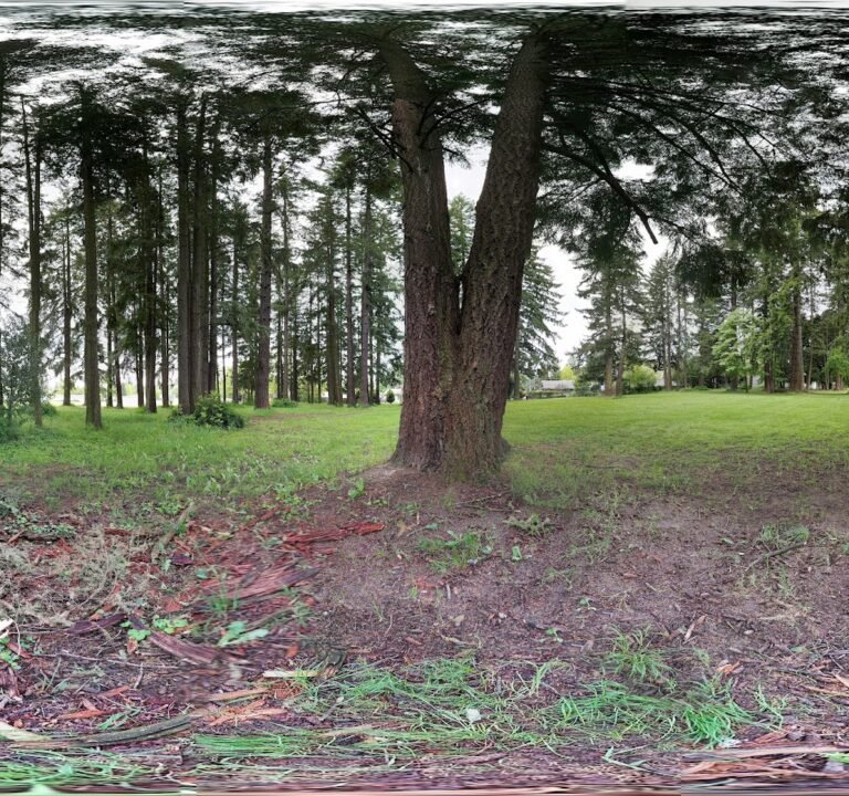 Soccer Field image 3