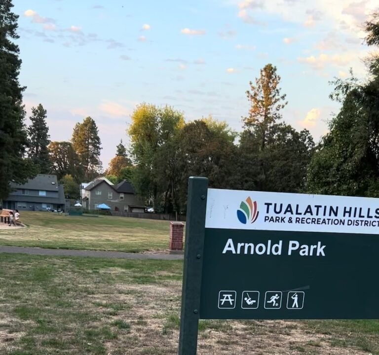 Soccer Field image 4