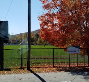 Soccer Field image 1