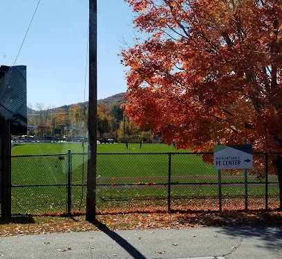 Soccer Field image 1