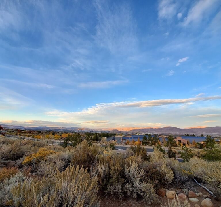 Soccer Field image 2
