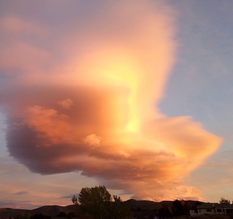 Soccer Field image 3