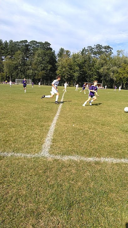 Soccer Field image 1