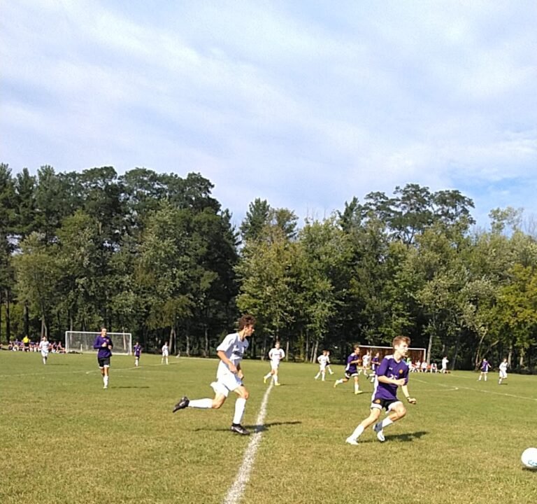 Soccer Field image 3