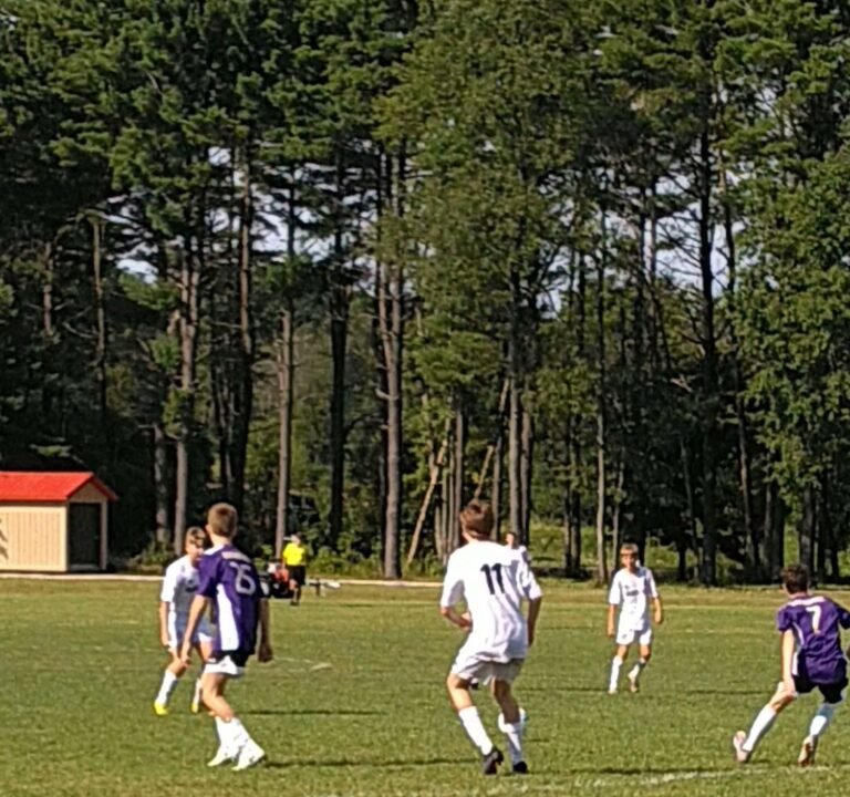 Soccer Field image 2
