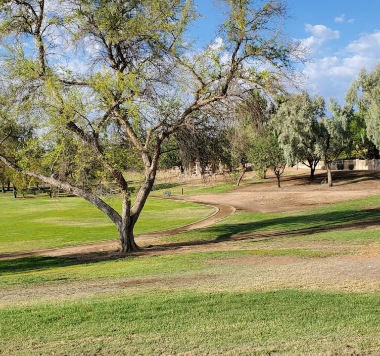 Soccer Field image 2