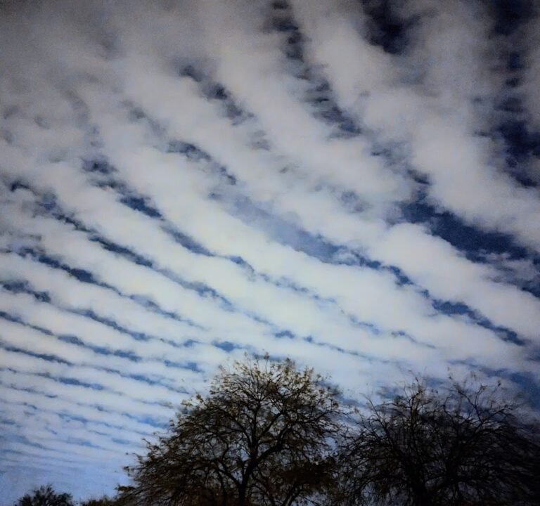 Soccer Field image 3