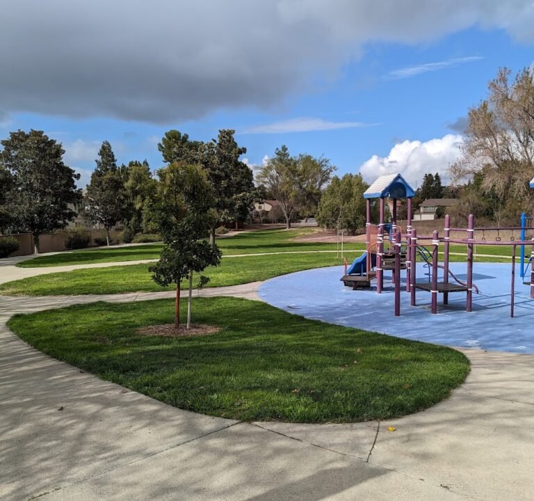 Soccer Field image 2