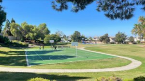 Soccer Field image 1