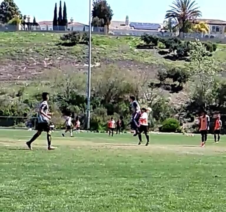 Soccer Field image 3