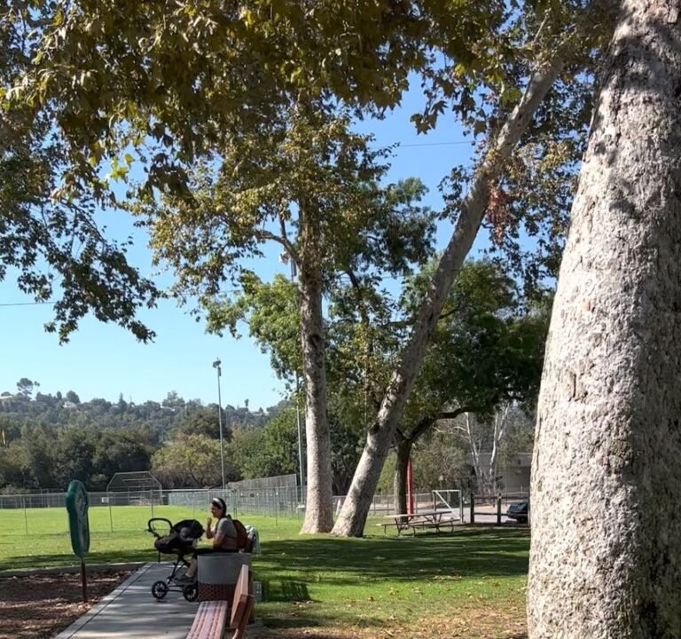 Soccer Field image 3