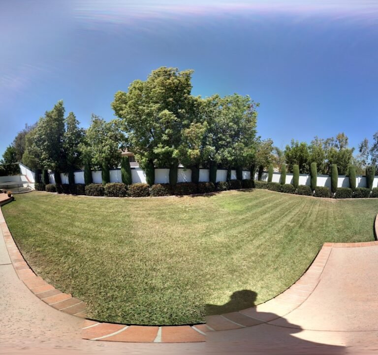 Soccer Field image 3