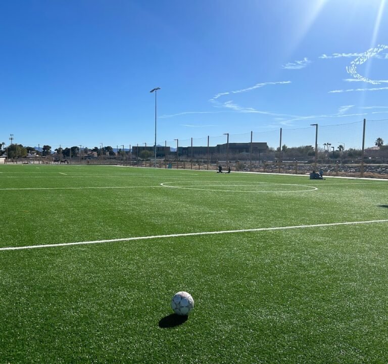 Soccer Field image 2