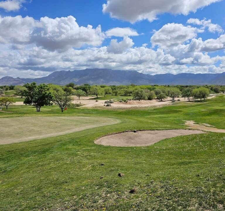 Soccer Field image 2